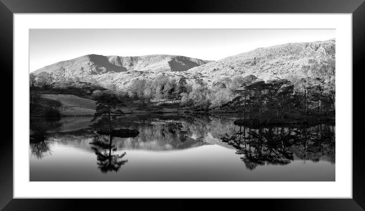 Tarn Hows Reflections Black and White Framed Mounted Print by Tim Hill