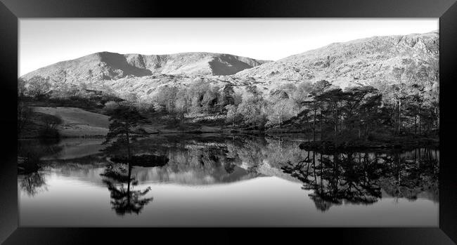 Tarn Hows Reflections Black and White Framed Print by Tim Hill