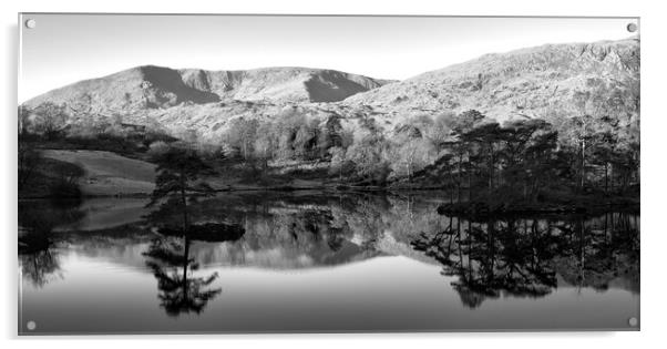 Tarn Hows Reflections Black and White Acrylic by Tim Hill
