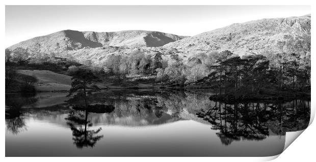 Tarn Hows Reflections Black and White Print by Tim Hill