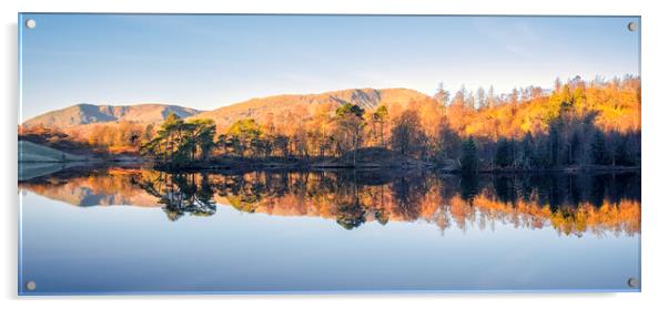 Tarn Hows Reflections Panoramic Acrylic by Tim Hill