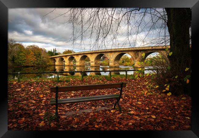 The Seat Framed Print by mark james