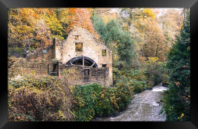 Autumn in Jesmond Dene Framed Print by mark james