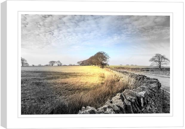 On the way to Manmoel Canvas Print by paul holt