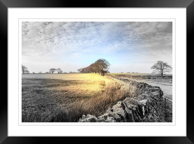 On the way to Manmoel Framed Print by paul holt