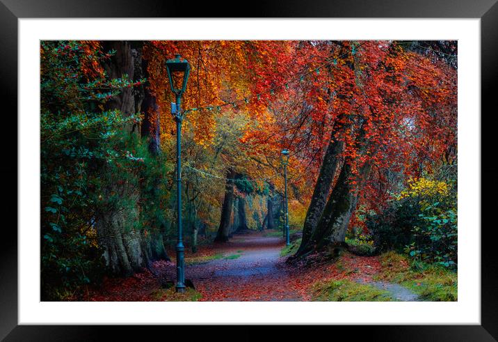Autumnal day on Ness Islands Framed Mounted Print by John Frid