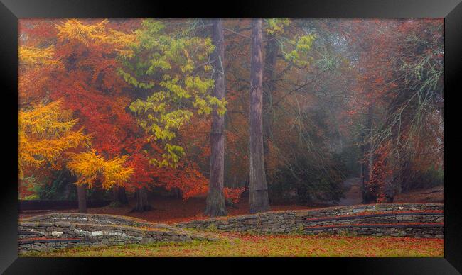 Ness Islands Autumn Beauty Framed Print by John Frid