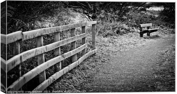 Frosty fence Canvas Print by craig hopkins