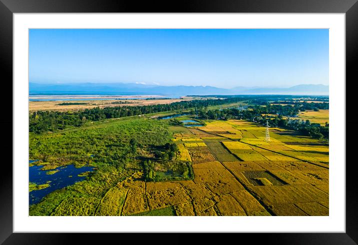 Aerial view of paddy farmland Framed Mounted Print by Ambir Tolang
