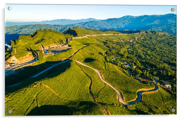 aerial view of tea farmland Acrylic by Ambir Tolang