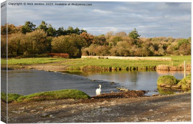 River Ogmore and Swan close to Ogmore Castle in No Canvas Print by Nick Jenkins