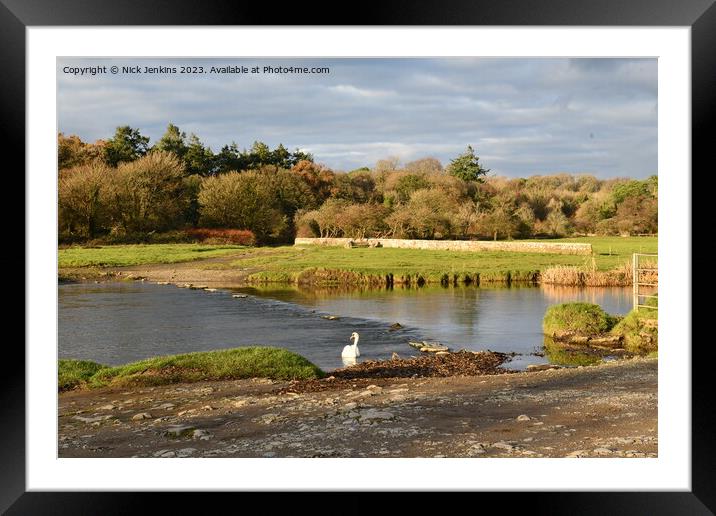 River Ogmore and Swan close to Ogmore Castle in No Framed Mounted Print by Nick Jenkins