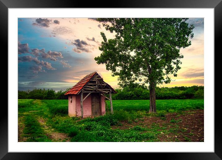 A hut in the field Framed Mounted Print by Dejan Travica