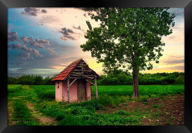 A hut in the field Framed Print by Dejan Travica