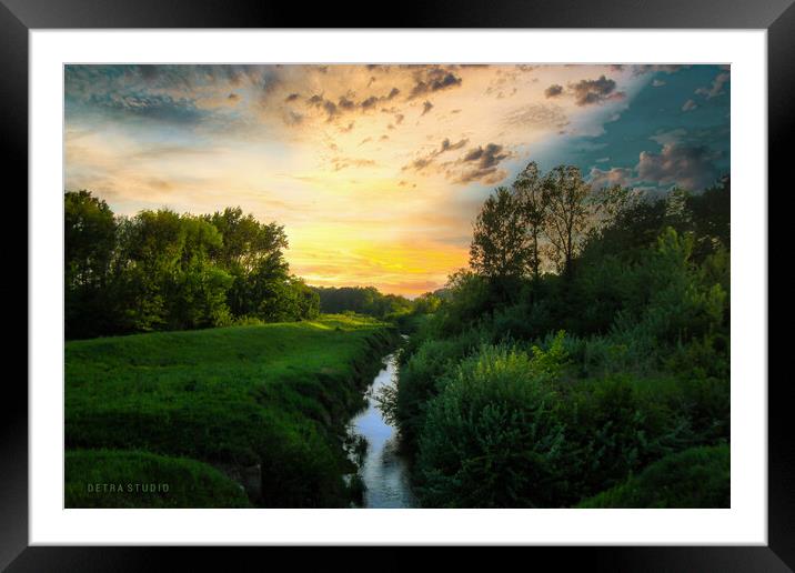 A small forest river Framed Mounted Print by Dejan Travica