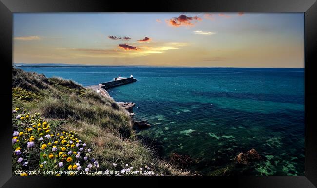 Solitude on the Moray Firth Framed Print by Tom McPherson