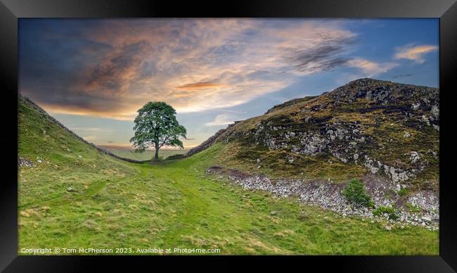 Iconic Sycamore Gap Framed Print by Tom McPherson