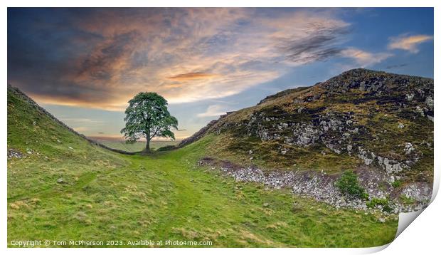 Iconic Sycamore Gap Print by Tom McPherson