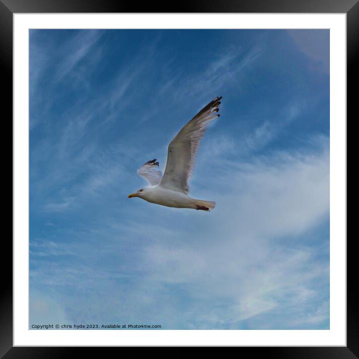 Gull against Blue Sky Framed Mounted Print by chris hyde