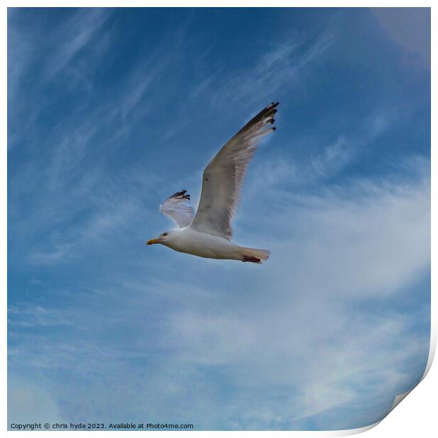 Gull against Blue Sky Print by chris hyde