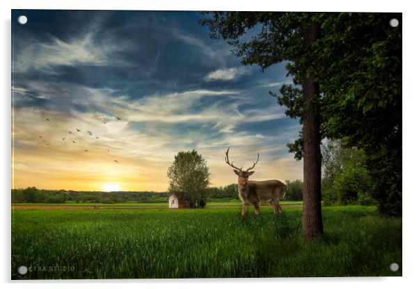Deer in the field Acrylic by Dejan Travica