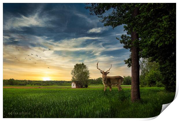 Deer in the field Print by Dejan Travica
