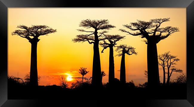 Madagascar at Sunset Framed Print by Arterra 