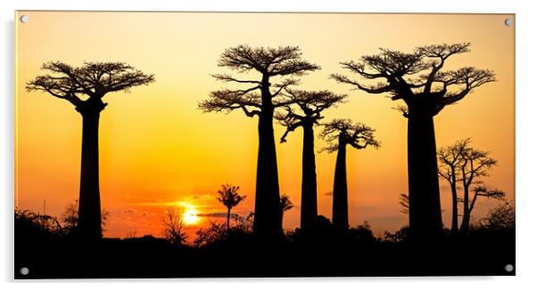 Madagascar at Sunset Acrylic by Arterra 