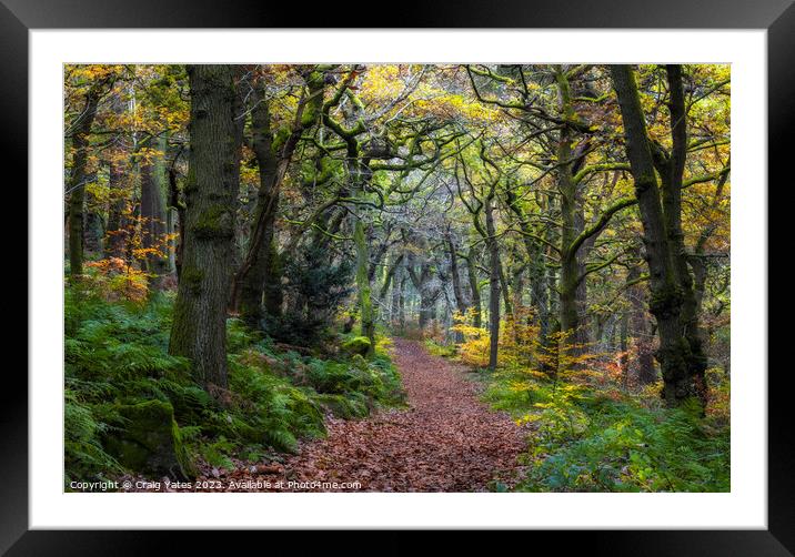 Padley Gorge Autumn Colours. Framed Mounted Print by Craig Yates