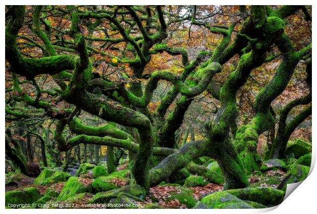 Gnarly Tree Chaos Padley Gorge Print by Craig Yates