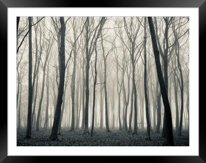 Woodland mist monochrome  Framed Mounted Print by Simon Johnson