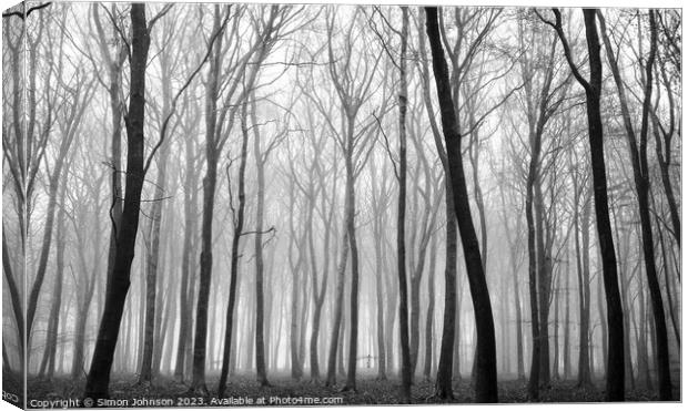 Woodland mist Canvas Print by Simon Johnson