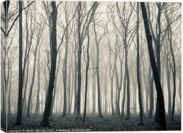 Woodland mist monochrome  Canvas Print by Simon Johnson