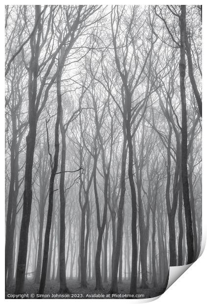 Woodland mist Print by Simon Johnson