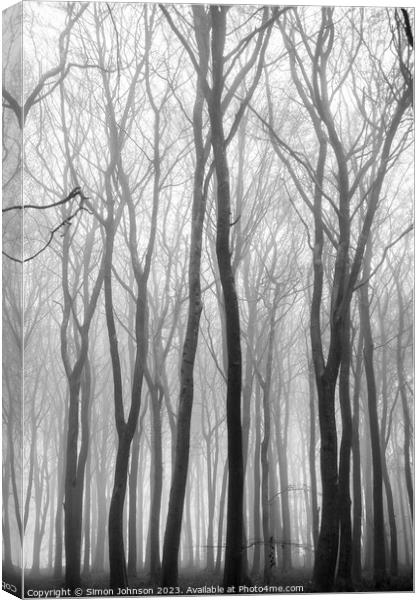 Woodland mist Monochrome  Canvas Print by Simon Johnson