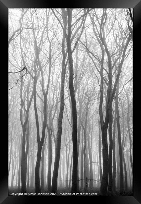 Woodland mist Monochrome  Framed Print by Simon Johnson
