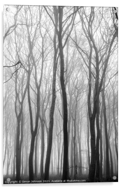 Woodland mist Monochrome  Acrylic by Simon Johnson