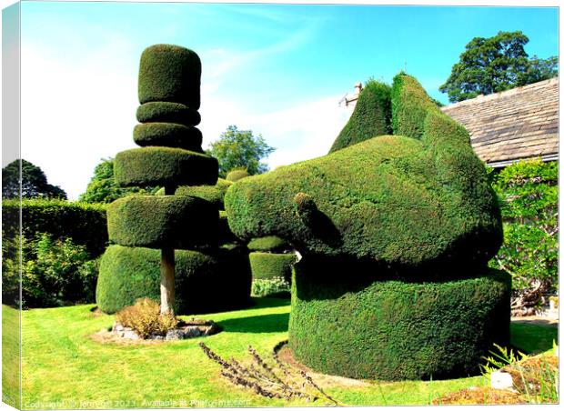 Topiary. Canvas Print by john hill
