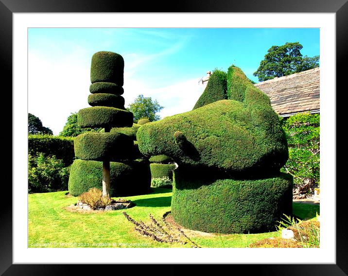 Topiary. Framed Mounted Print by john hill