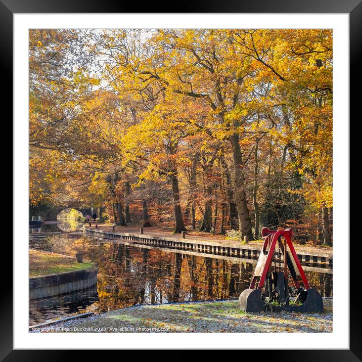 Autumn Colours on the Basingstoke Canal Framed Mounted Print by Pearl Bucknall