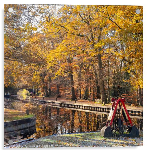 Autumn Colours on the Basingstoke Canal Acrylic by Pearl Bucknall