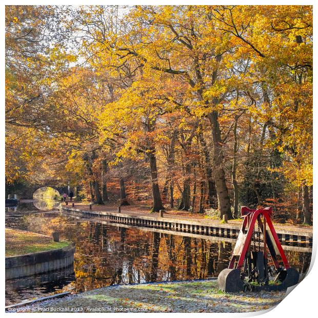 Autumn Colours on the Basingstoke Canal Print by Pearl Bucknall