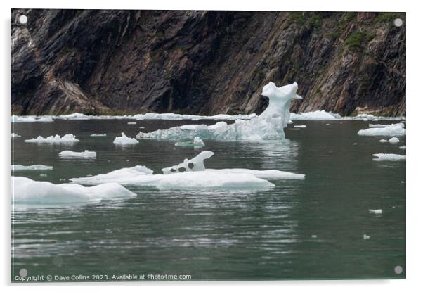 Strangely shaped growlers (little icebergs) floating in Icy Bay in Alaska, USA Acrylic by Dave Collins
