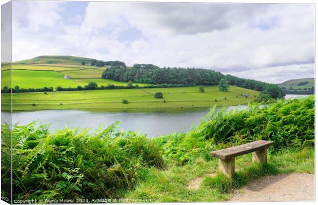Ladybower Reservoir View Canvas Print by Diana Mower