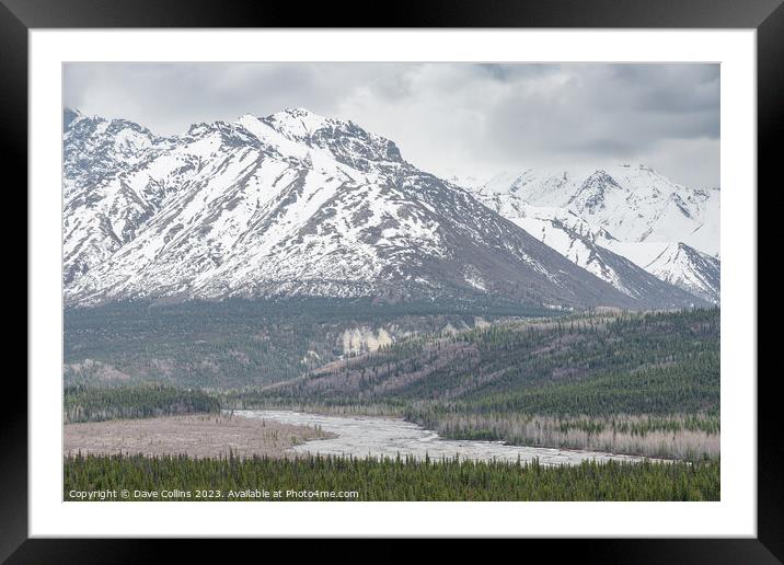 Matanuska River with snow covered mountains behind in Alaska, USA Framed Mounted Print by Dave Collins