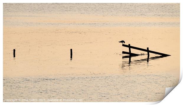 Silhouette of a bird on a fence during high tide in the Wash, England Print by Dave Collins