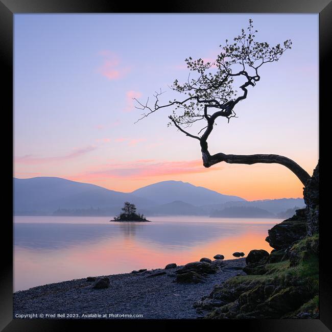 Dawn on Derwentwater Lake District Framed Print by Fred Bell