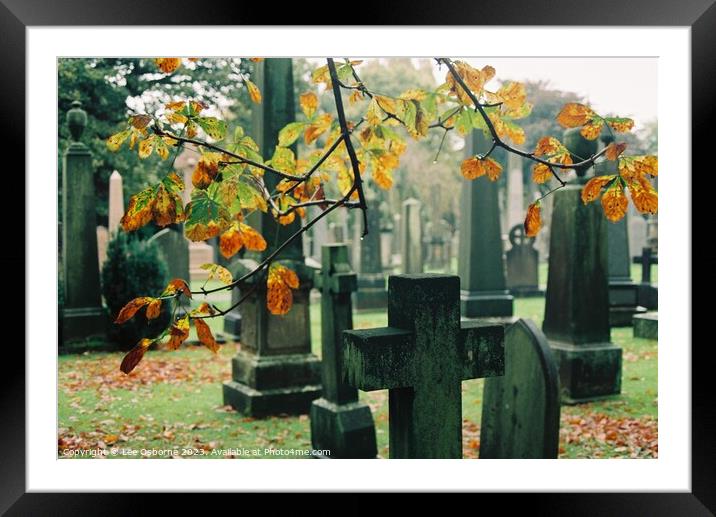 Hallowe'en in Dean Cemetery - Autumn Leaves and Gravestones Framed Mounted Print by Lee Osborne