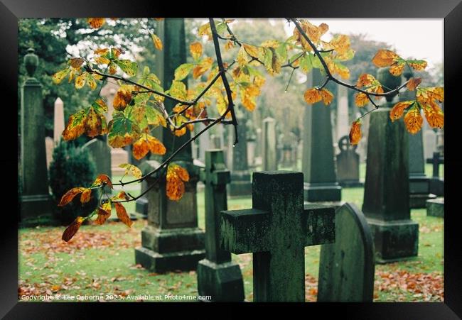 Hallowe'en in Dean Cemetery - Autumn Leaves and Gravestones Framed Print by Lee Osborne