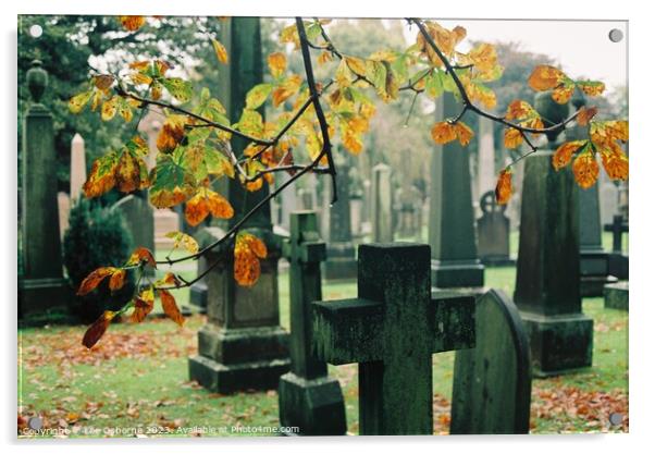Hallowe'en in Dean Cemetery - Autumn Leaves and Gravestones Acrylic by Lee Osborne